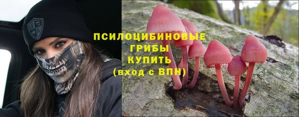 героин Алексин