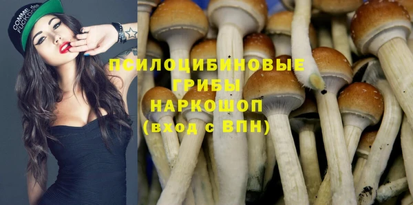 героин Алексин