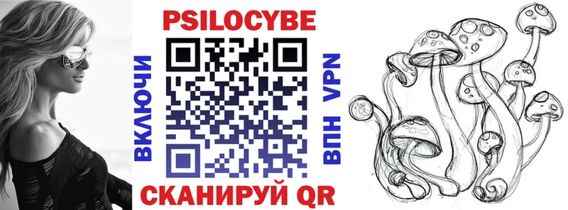 Псилоцибиновые грибы мицелий  Гвардейск 